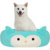 imageSquishmallows 20Inch Wendy Frog Pet Bed  Small Ultrasoft Official Squishmallows Plush Pet BedAqua Owl