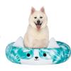 imageSquishmallows 20Inch Wendy Frog Pet Bed  Small Ultrasoft Official Squishmallows Plush Pet BedBlue  White Corgi