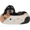 imageSquishmallows 20Inch Wendy Frog Pet Bed  Small Ultrasoft Official Squishmallows Plush Pet BedCam The Cat