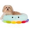 imageSquishmallows 20Inch Wendy Frog Pet Bed  Small Ultrasoft Official Squishmallows Plush Pet BedMultiColor Octopus