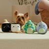 imageSquishmallows Original 35Inch 2Pack Emery Latte and Deja Donut Dog Toys  Small Ultrasoft Official Plush Pet Toy