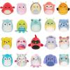 imageSquishville by Original Squishmallows Play and Display Storage  Twenty 2inch Plush Included with 4 Exclusives  Hang or Stand Display Case