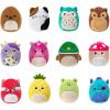 imageSquishville by Original Squishmallows AllStar Squad  12 Fan Favorites Including Hans Cam Malcolm Avery and More  Amazon ExclusiveAllStar Squad