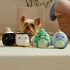 imageSquishmallows Original 35Inch Dinosaurs and Sushi Dog Toy 4Pack  Small Ultrasoft Official Plush Pet Toys  Amazon Exclusive