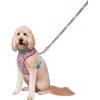 imageSquishmallows Original Squish Squad Pet Leash  Official Jazwares Pets Walking Apparel for Dogs