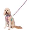 imageSquishmallows Original Squad Goals Pet Harness MediumSized  Official Jazwares Pets Walking Apparel for DogsLarge