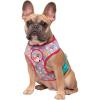 imageSquishmallows Original Squad Goals Pet Harness MediumSized  Official Jazwares Pets Walking Apparel for DogsMedium