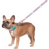 imageSquishmallows Original Squish Squad Pet Leash  Official Jazwares Pets Walking Apparel for Dogs