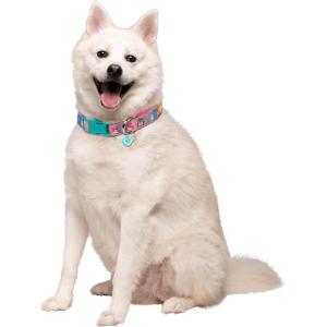 imageSquishmallows Original Squish Squad Pet Collar Large  Official Jazwares Pets Walking Apparel for DogsLarge