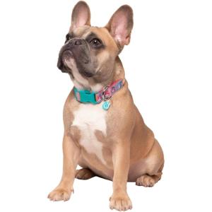 imageSquishmallows Original Squish Squad Pet Collar Large  Official Jazwares Pets Walking Apparel for DogsMedium