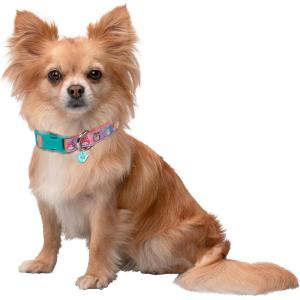imageSquishmallows Original Squish Squad Pet Collar Large  Official Jazwares Pets Walking Apparel for DogsSmall