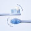 imageSquishmallows 2 Replacement Brush Heads for Battery Toothbrush Soft Bristles Gift for Kids Aged 4 Years and Up AuggieSamir
