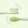 imageSquishmallows Toothbrush Sonic Battery Toothbrushes for Kids Soft Bristles Extra Brush Head Inc Gift for Kids Aged 4 Years and Up Battery Included WandaRutabaga
