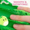 imageSquishmallows Pyle The Mushroom Premium Grape Scented Slime 8 oz 3 Fun Slime Add Ins Great Toys for 6 Year OldsAshley Green Apple