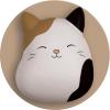 imageStudio Oh x Squishmallow Patty Mooody Strawberry Swirl Scented Candle 12 oz Sweet Strawberry Warm Vanilla Citrus Freesia and Crisp Apple Reusable Decorative JarCam Purrrfect Maple Donut