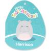 imageSquishmallows Original 16in Rosie The Spotted Pig with Flower Pin  Official Jazwares Plush LargeHippo With Closed Eyes