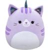 Purple Tabby