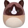 Snowshoe Cat