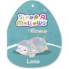 imageSquishmallows Original 12in Belana The Aqua Cow Sleepamallows  Official Jazwares Plush MediumSizedRainbow Lamb