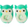 Winston the Owl