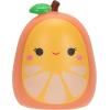 imageSquishalongs 25 Pack  Series 1  25 1 MiniSquish with 5 Accessories Ring and Collectors Guide  Collect Trade ampamp PlaySmall