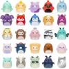 imageSquishalongs 25 Pack  Series 2  25 1 MiniSquish 5 Accessories 1 Ring ampamp 1 Collectors Guide  2 Chase Figures  Collect Trade ampamp Play