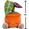 imageGreenhouse by Russ 12Inch Black Velvet Alocasia Plant Plush  Ultrasoft Official Jazwares Plush  Ages 3Black Velvet Alocasia