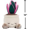 imageGreenhouse by Russ 12Inch Black Velvet Alocasia Plant Plush  Ultrasoft Official Jazwares Plush  Ages 3Oyster Plant