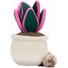 imageGreenhouse by Russ 12Inch Black Velvet Alocasia Plant Plush  Ultrasoft Official Jazwares Plush  Ages 3Oyster Plant