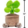 imageGreenhouse by Russ 12Inch Black Velvet Alocasia Plant Plush  Ultrasoft Official Jazwares Plush  Ages 3Pilea Plant
