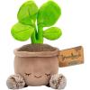 imageGreenhouse by Russ 12Inch Black Velvet Alocasia Plant Plush  Ultrasoft Official Jazwares Plush  Ages 3Pilea Plant