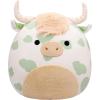 Spotted Highland Cow