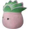 imageSquishmallows Original 14Inch Lorono Lobster in Lobster Roll  Official Jazwares Plush LargePink Pot Succulent