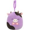 imageSquishmallows Original Clip 5Pack  Boyle Fruit Bat Dianalee Chipmunk Theodore Roadrunner Earling Mushroom Bat Truman TurtleStyle 2