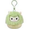imageSquishmallows Original Clip 5Pack  Boyle Fruit Bat Dianalee Chipmunk Theodore Roadrunner Earling Mushroom Bat Truman TurtleStyle 4