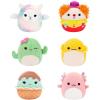 imageSquishmallows Original Micromallows 6Pack  Danny Dinosaur Dane Dragon Malcolm Mushroom Lena Guava Fruit Leonard Lion Noah SealSquad 2