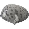 Grey Seal