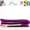imageFranco Squishmallows Cam Bedding Super Soft Micro Raschel Throw 46 in x 60 in Official Squishmallows ProductSquishmallows  Halloween