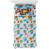 Paw Patrol 2 Movie