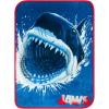 Jaws