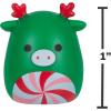 imageSquishalongs Holiday Countdown Calendar  Includes 24 MiniSquish Wave 3