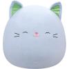imageSquishmallows Original 20in Ilene The Pink Unicorn with Rainbow Mane  Official Jazwares Plush JumboBlue Cat W Green Ears