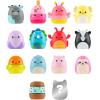 imageSquishalongs MiniSquish 14Pack Wave 4 Style 1Style 2 W4