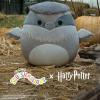 imageSquishmallows Original Harry Potter 10in Hedwig with Scarf Plush  Ultrasoft Official Jazwares Plush MediumSizedBuckbeak
