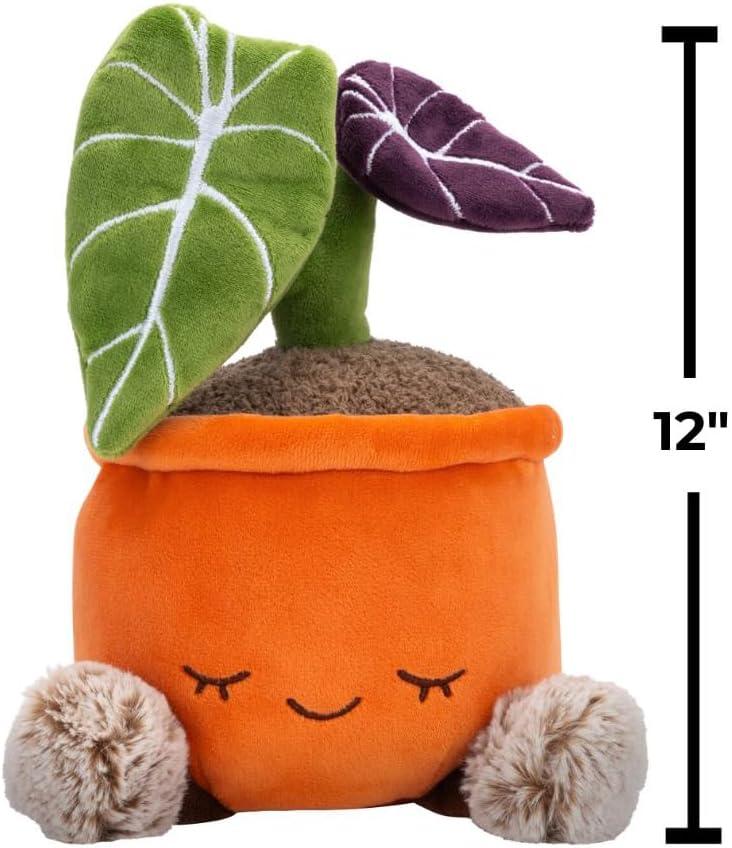 imageRuss Style Number  RBGH00124Black Velvet Alocasia