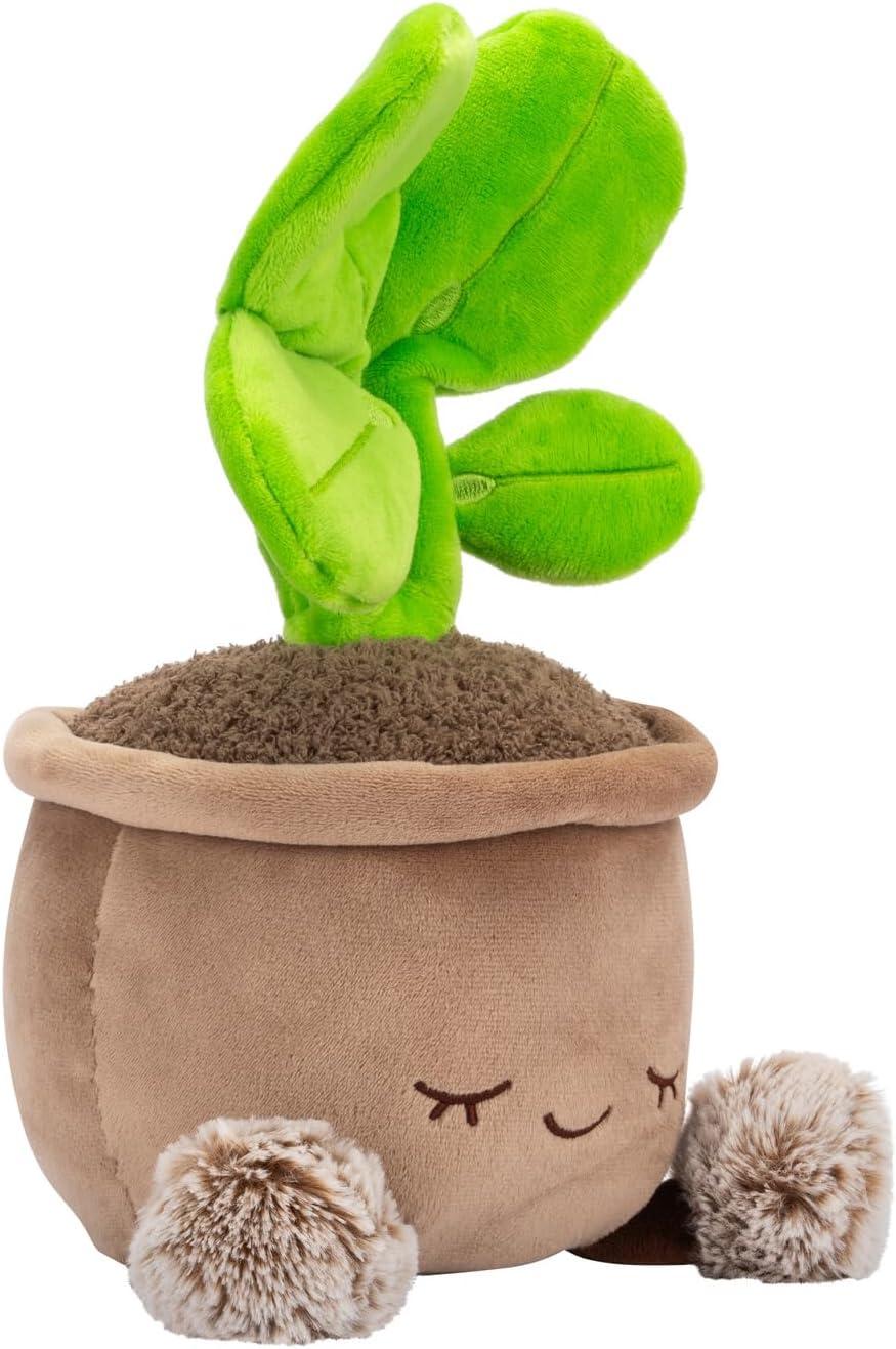 imageRuss Style Number  RBGH00124Pilea Plant