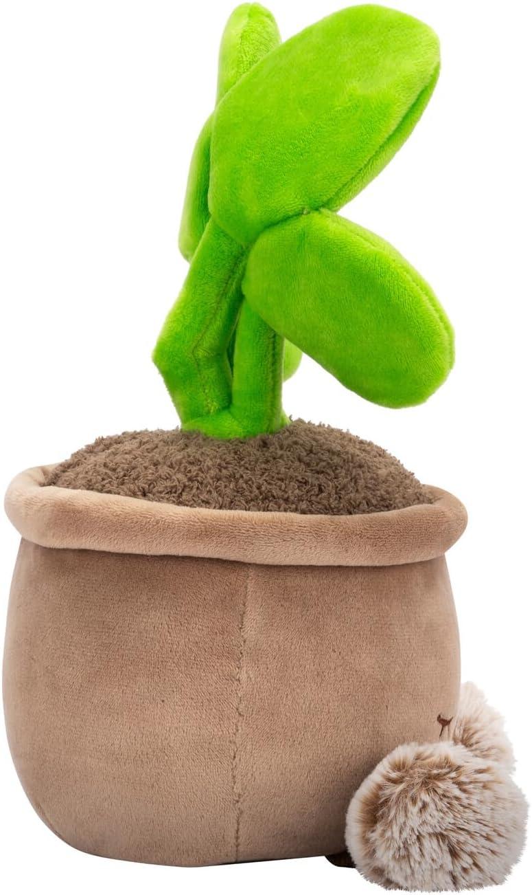 imageRuss Style Number  RBGH00124Pilea Plant