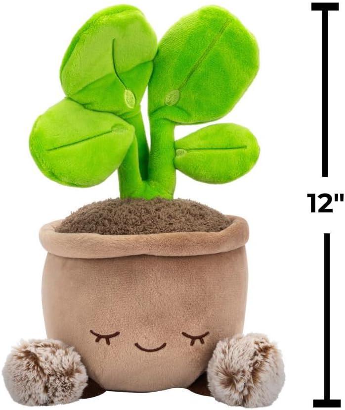 imageRuss Style Number  RBGH00124Pilea Plant