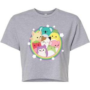 image:imageSquishmallows  Rainbow Circle Group  Juniors Cropped Short Sleeve Graphic TShirtHeather Grey