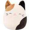 Cam the Calico Cat